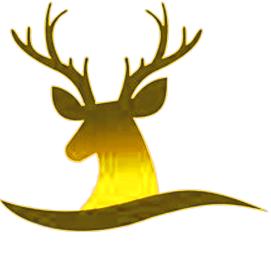 SDM logo